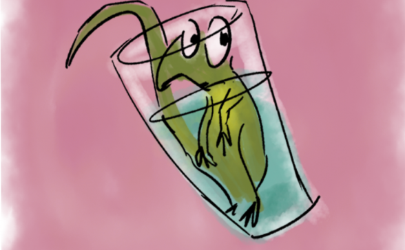 drawing of a newt in a glass